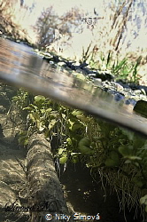 My testing in a small creek by Niky Šímová 